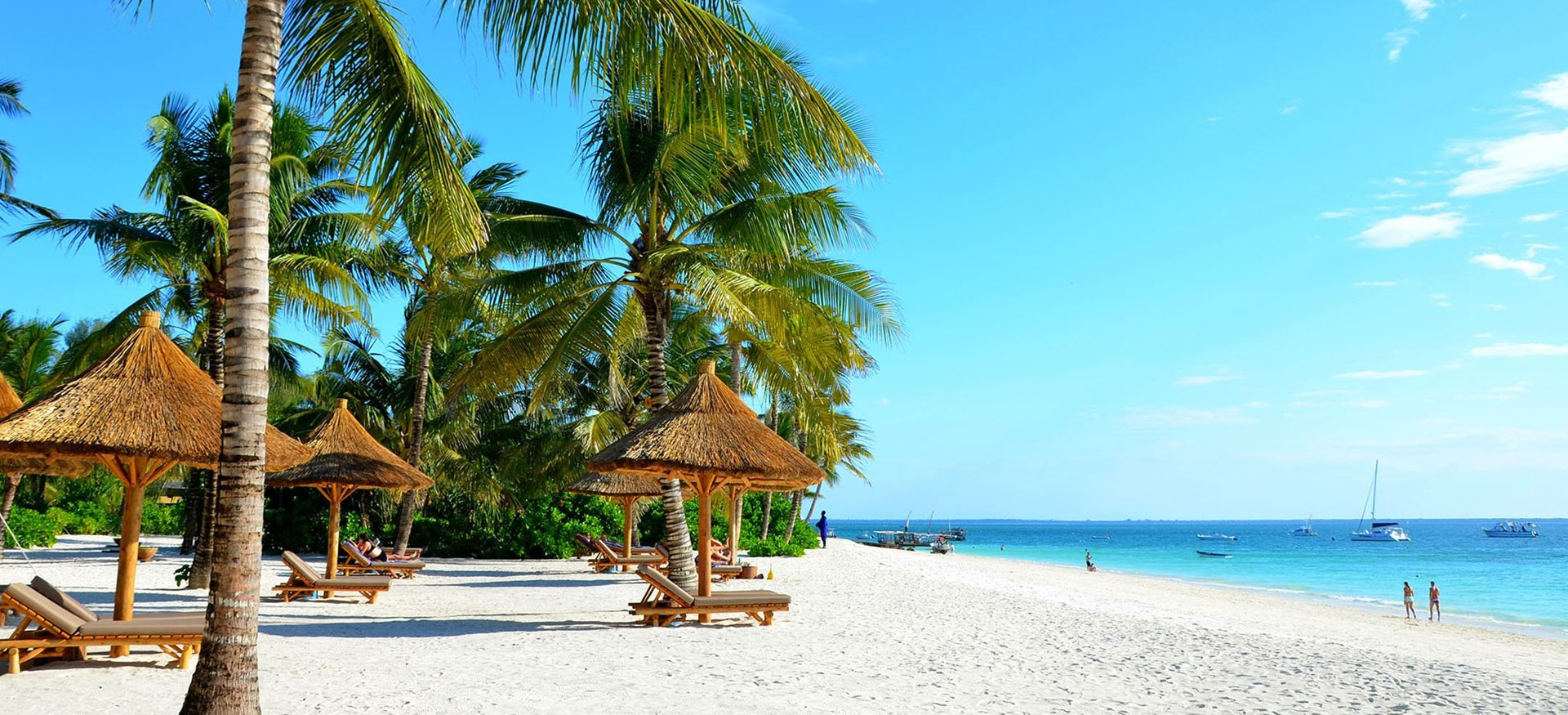 Zanzibar beach holiday and tropical coast