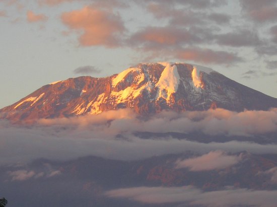 kilimanjaro training guide how to prepare for your climb